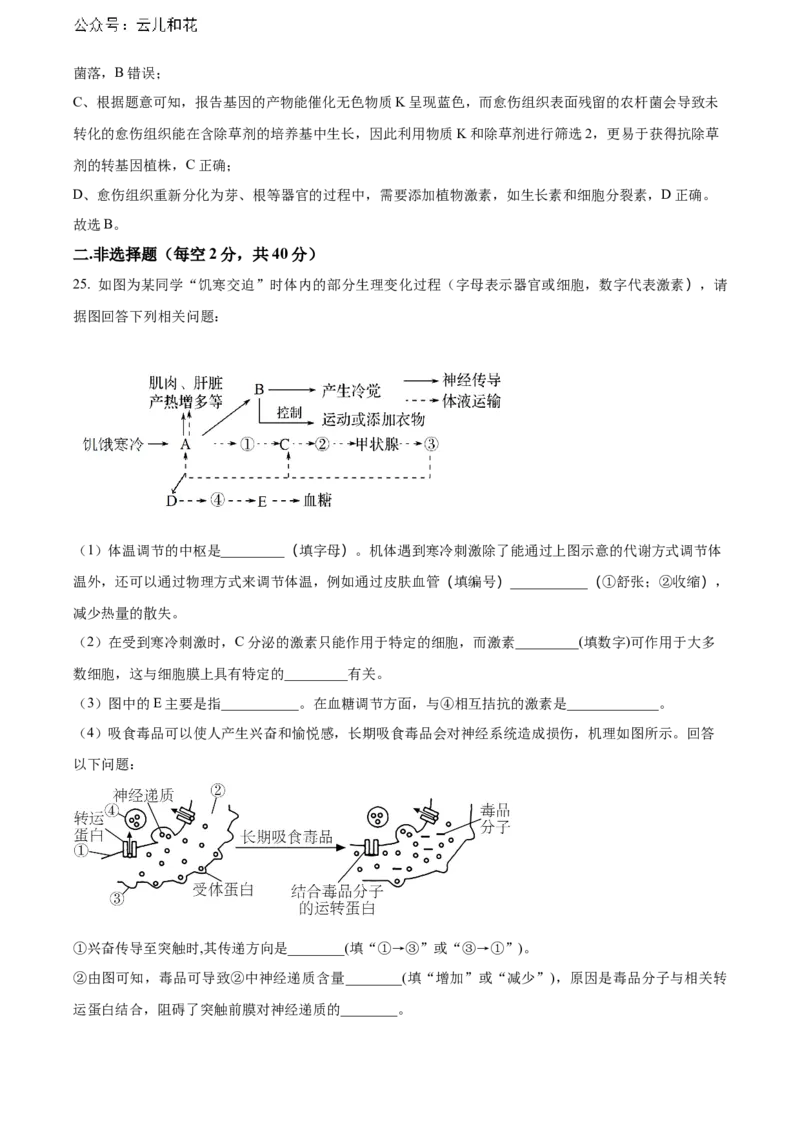 安徽省芜湖市镜湖区安徽师范大学附属中学2023-2024学年高二下学期6月测试生物答案_2024-2025高二（7-7月题库）_2024年07月试卷_07022024安徽师范大学附属中学高二下学期6月测试