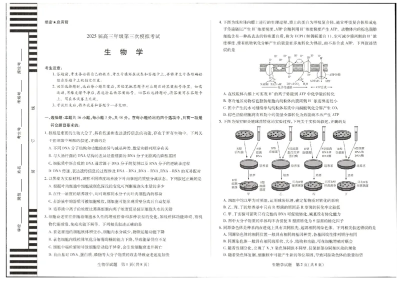 河南安阳2025届高三年级第三次模拟考试生物（含答案）_2024-2025高三（6-6月题库）_2025年05月试卷_0509河南天一大联考2025届高三年级第三次模拟考试（安阳新乡三模）（全科）