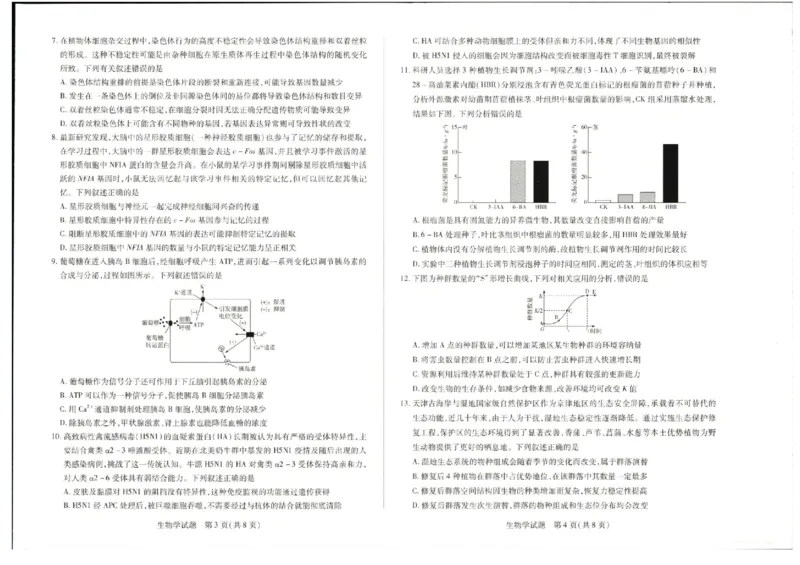 河南安阳2025届高三年级第三次模拟考试生物（含答案）_2024-2025高三（6-6月题库）_2025年05月试卷_0509河南天一大联考2025届高三年级第三次模拟考试（安阳新乡三模）（全科）