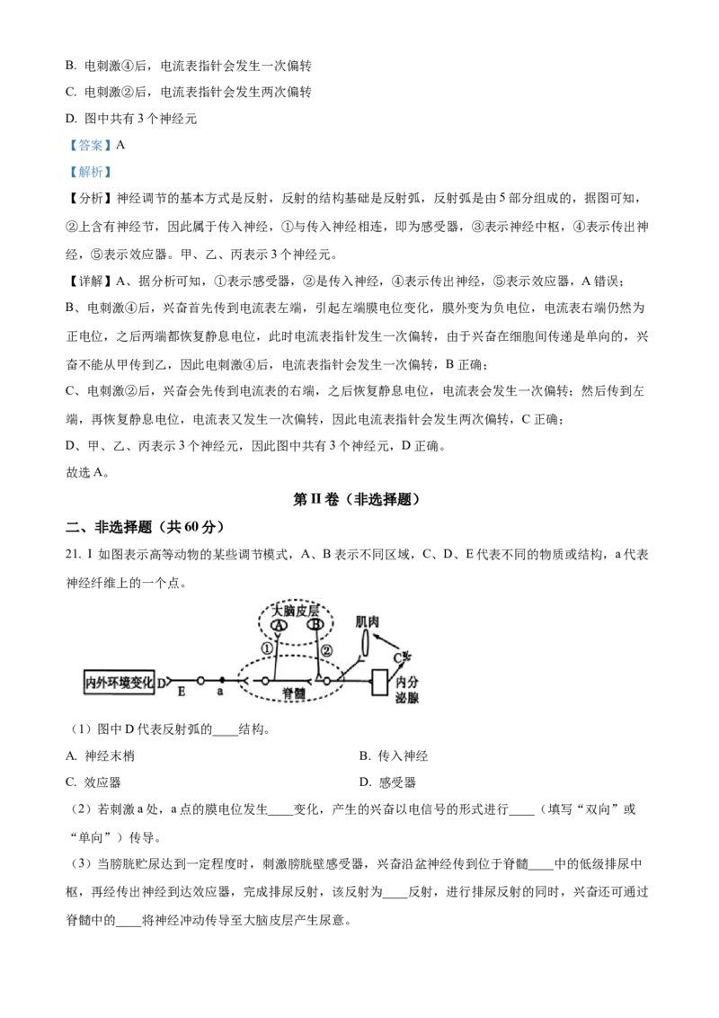 四川省泸州市龙马潭区2024-2025学年高二上学期11月期中生物试题Word版含解析_2024-2025高二（7-7月题库）_2024年12月试卷_1217四川省泸州市龙马潭区2024-2025学年高二上学期11月期中考试
