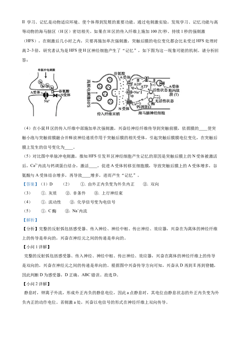 四川省泸州市龙马潭区2024-2025学年高二上学期11月期中生物试题Word版含解析_2024-2025高二（7-7月题库）_2024年12月试卷_1217四川省泸州市龙马潭区2024-2025学年高二上学期11月期中考试