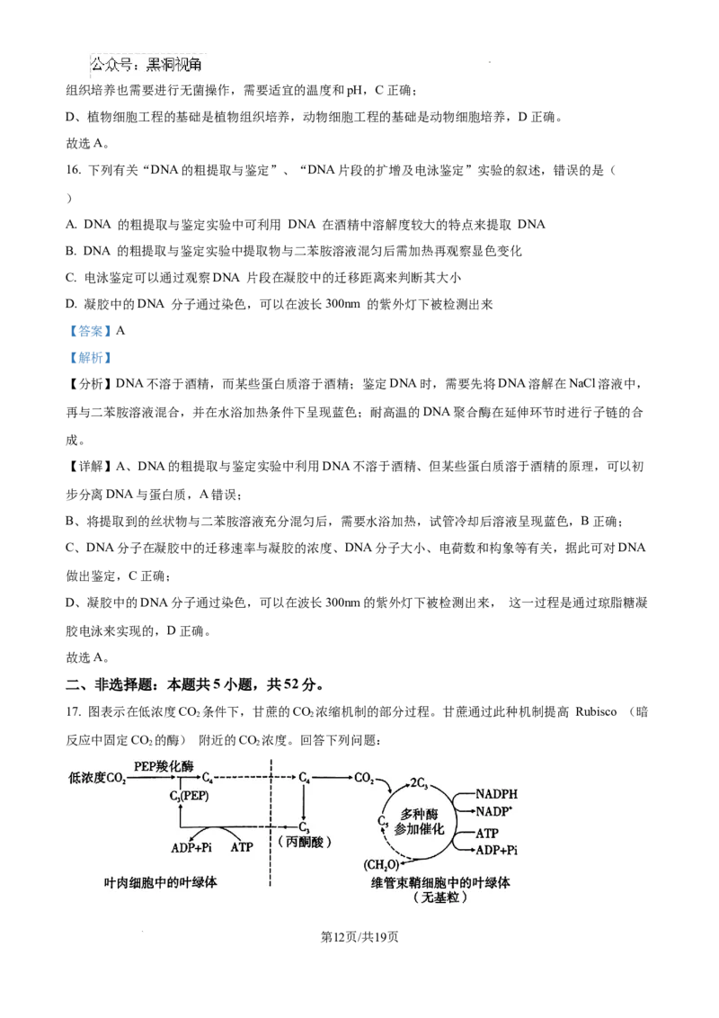 云南师范大学附属中学2025届高三高考适应性月考卷（四）生物答案_2024-2025高三（6-6月题库）_2024年10月试卷_1025云南师范大学附属中学2025届高三高考适应性月考卷（四）