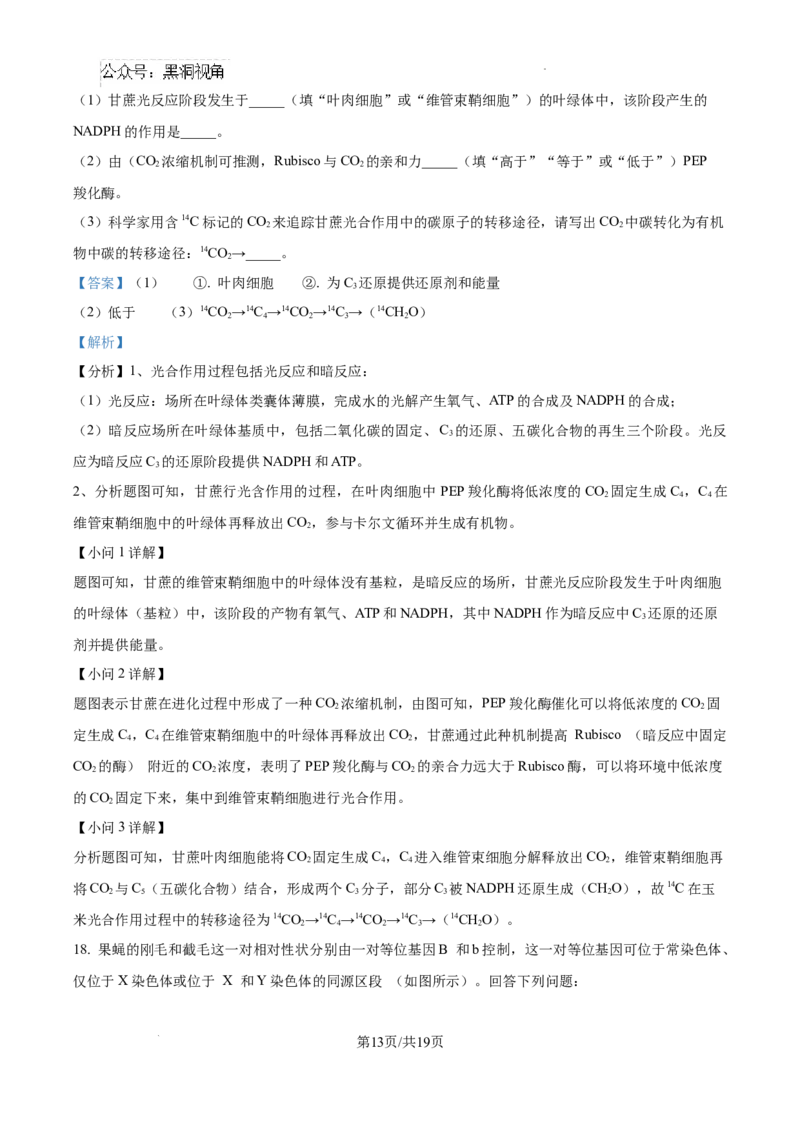 云南师范大学附属中学2025届高三高考适应性月考卷（四）生物答案_2024-2025高三（6-6月题库）_2024年10月试卷_1025云南师范大学附属中学2025届高三高考适应性月考卷（四）