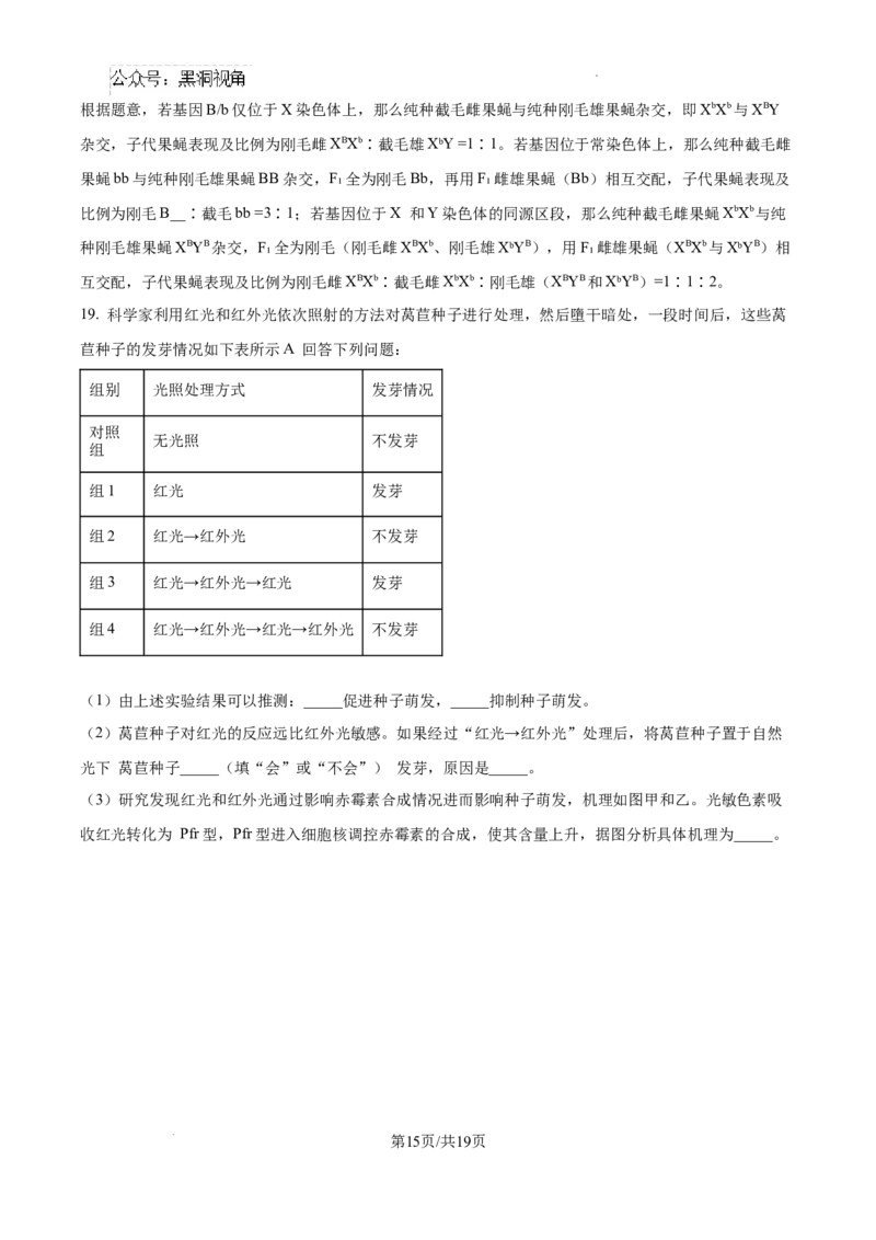 云南师范大学附属中学2025届高三高考适应性月考卷（四）生物答案_2024-2025高三（6-6月题库）_2024年10月试卷_1025云南师范大学附属中学2025届高三高考适应性月考卷（四）