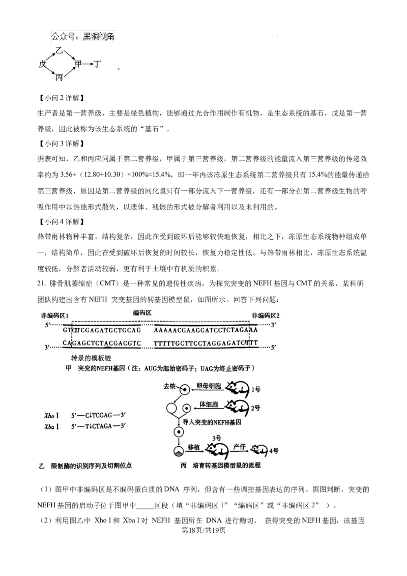 云南师范大学附属中学2025届高三高考适应性月考卷（四）生物答案_2024-2025高三（6-6月题库）_2024年10月试卷_1025云南师范大学附属中学2025届高三高考适应性月考卷（四）