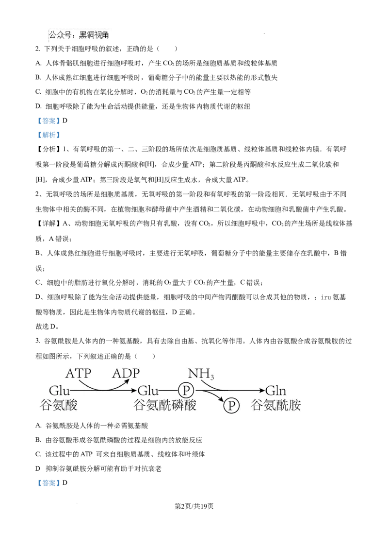 云南师范大学附属中学2025届高三高考适应性月考卷（四）生物答案_2024-2025高三（6-6月题库）_2024年10月试卷_1025云南师范大学附属中学2025届高三高考适应性月考卷（四）