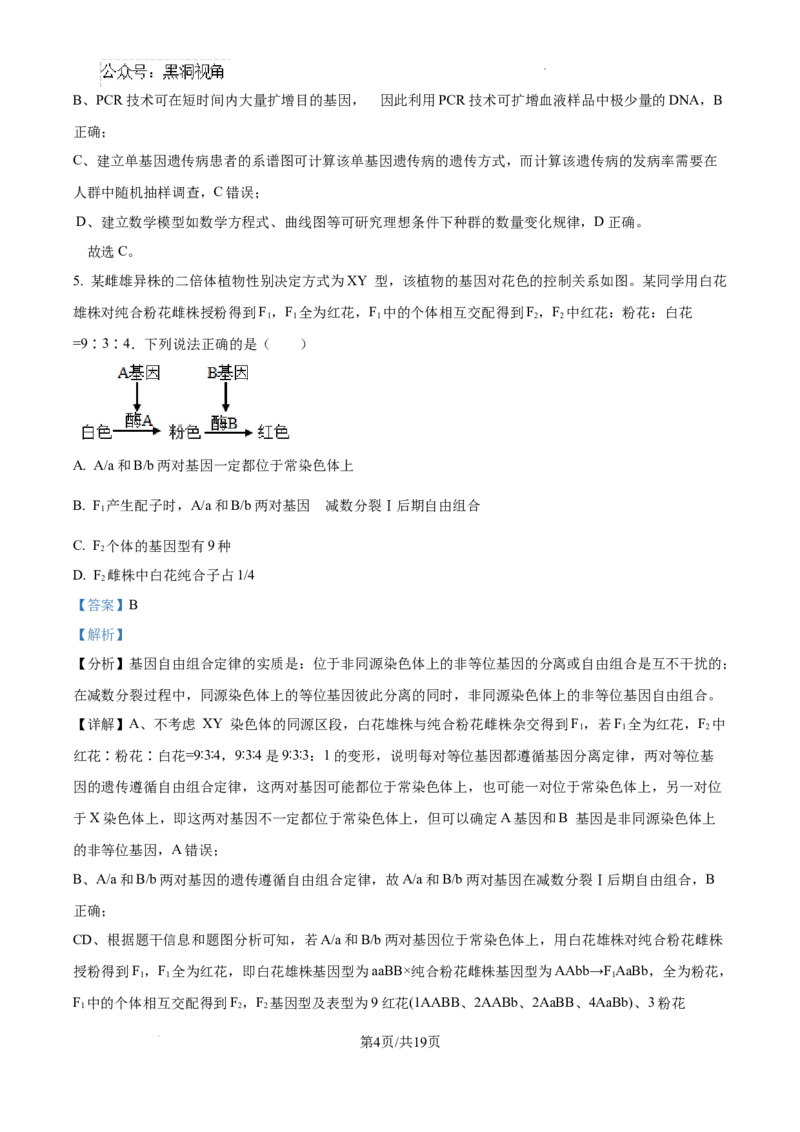 云南师范大学附属中学2025届高三高考适应性月考卷（四）生物答案_2024-2025高三（6-6月题库）_2024年10月试卷_1025云南师范大学附属中学2025届高三高考适应性月考卷（四）