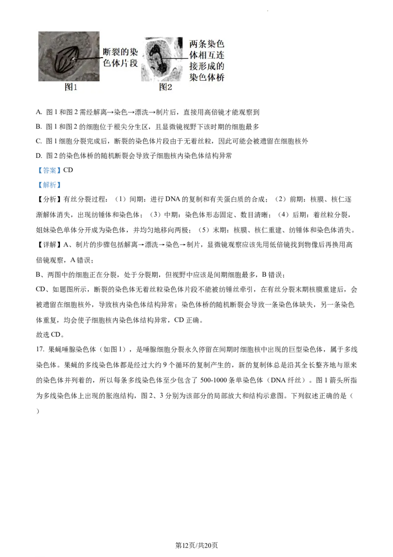 精品解析：河北省张家口市张垣联盟023-2024学年高三11月月考生物试题（解析版）(1)_2023年11月_0211月合集_2024届河北省张家口市张垣联盟高三上学期11月月考试题