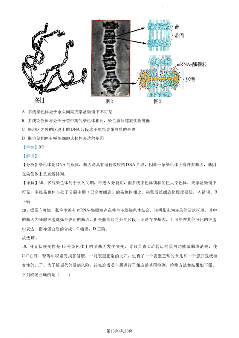 精品解析：河北省张家口市张垣联盟023-2024学年高三11月月考生物试题（解析版）(1)_2023年11月_0211月合集_2024届河北省张家口市张垣联盟高三上学期11月月考试题