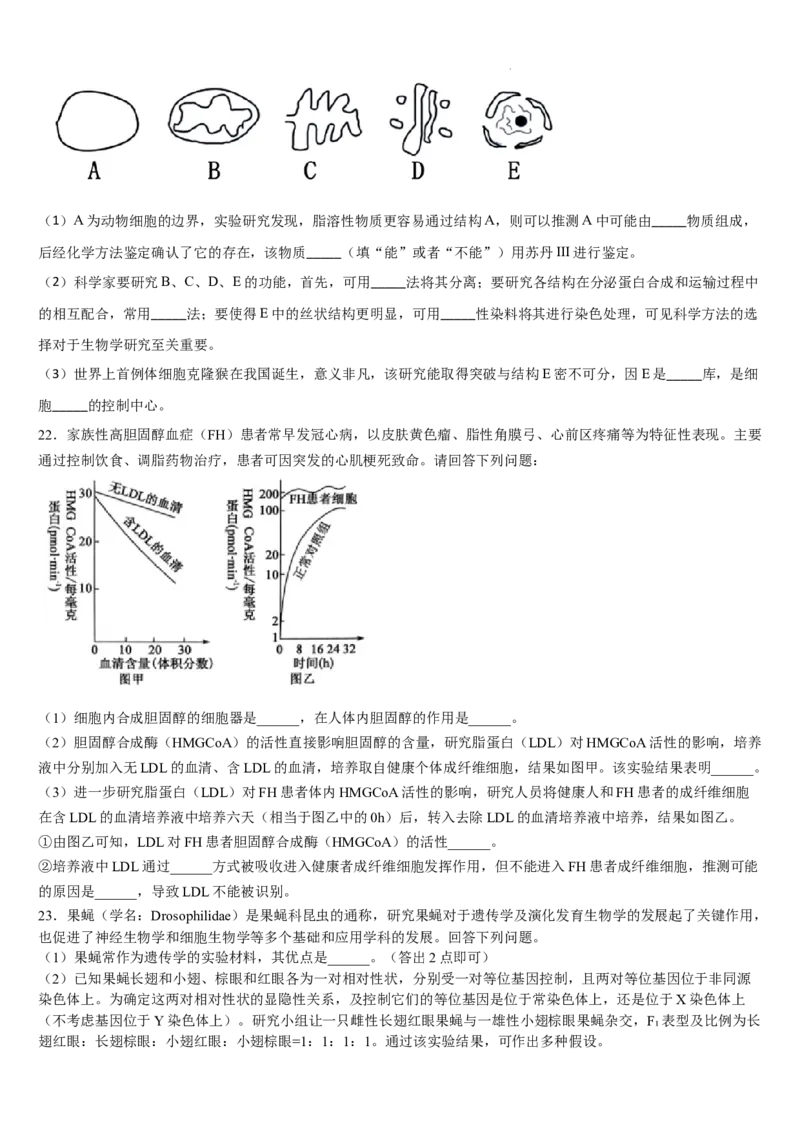 吉林省通化市梅河口市第五中学2024-2025学年高三上学期12月月考生物试题_2024-2025高三（6-6月题库）_2024年12月试卷