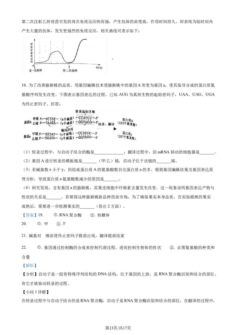 精品解析：2024年1月广西普通高等学校招生全国统一考试适应性测试（九省联考）生物试题（解析版）_2024年2月_2024年九省联考各版本合集_广西（物化生政史地）_广西生物(含答案）