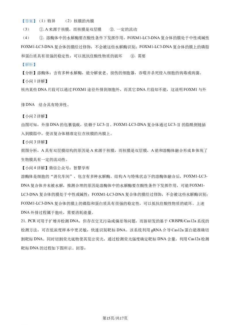 精品解析：2024年1月广西普通高等学校招生全国统一考试适应性测试（九省联考）生物试题（解析版）_2024年2月_2024年九省联考各版本合集_广西（物化生政史地）_广西生物(含答案）