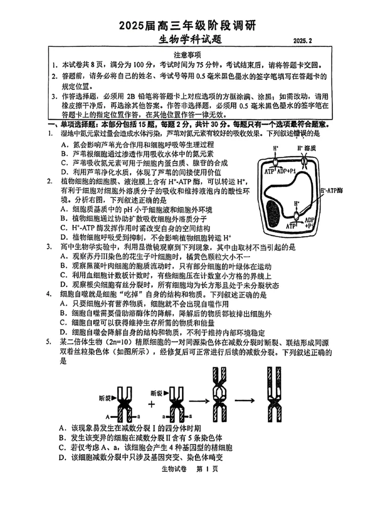 江苏省苏州中学等四校2024-2025学年高三下学期2月联考生物试卷(含答案)_2024-2025高三（6-6月题库）_2025年02月试卷