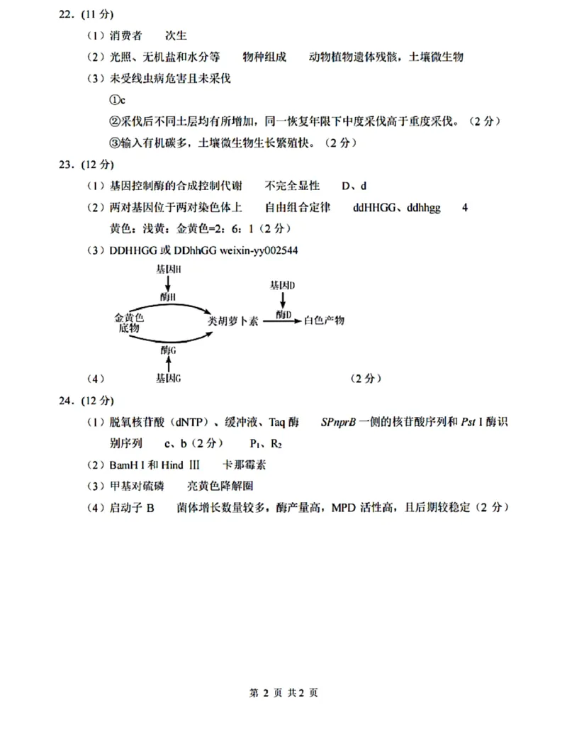 江苏省苏州中学等四校2024-2025学年高三下学期2月联考生物试卷(含答案)_2024-2025高三（6-6月题库）_2025年02月试卷