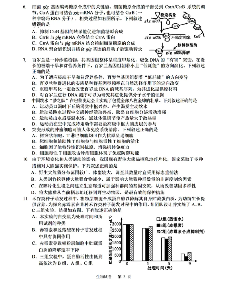 江苏省苏州中学等四校2024-2025学年高三下学期2月联考生物试卷(含答案)_2024-2025高三（6-6月题库）_2025年02月试卷