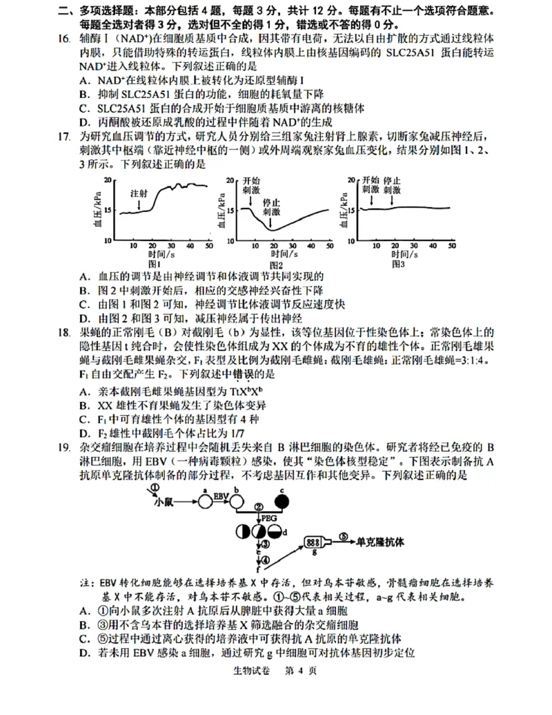 江苏省苏州中学等四校2024-2025学年高三下学期2月联考生物试卷(含答案)_2024-2025高三（6-6月题库）_2025年02月试卷