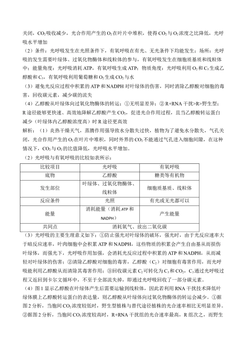 专题3细胞代谢（非选择题）&mdash;&mdash;高考生物学模块分练新高考版（含解析）_2024-2025高三（6-6月题库）_2026年1月高三