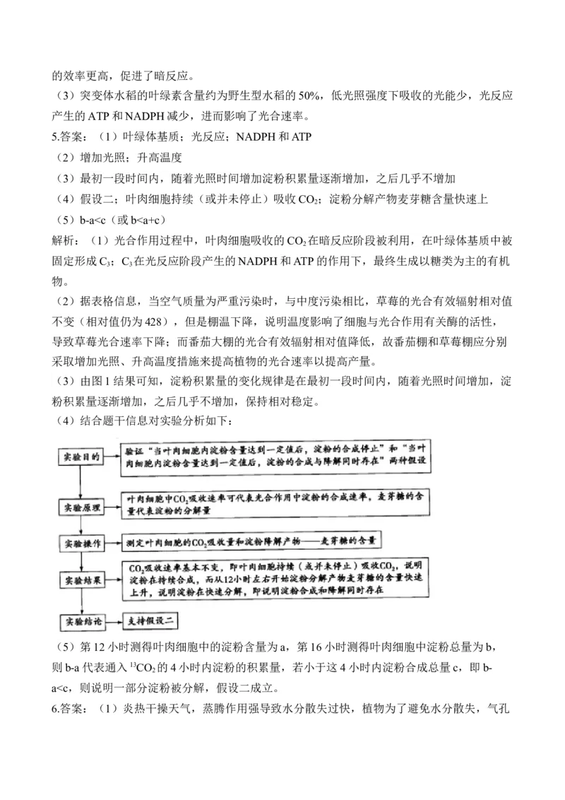 专题3细胞代谢（非选择题）&mdash;&mdash;高考生物学模块分练新高考版（含解析）_2024-2025高三（6-6月题库）_2026年1月高三