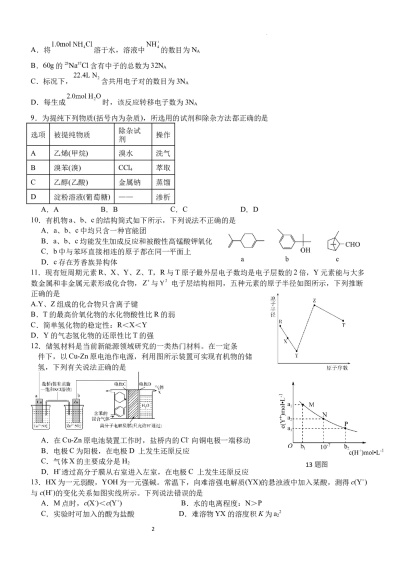 棠湖中学高2021级高三上期第二月考试理科综合试题(1)_2023年11月_0211月合集_2024届四川省双流棠湖中学高三上学期10月月考_四川省双流棠湖中学2024届高三上学期10月月考理综