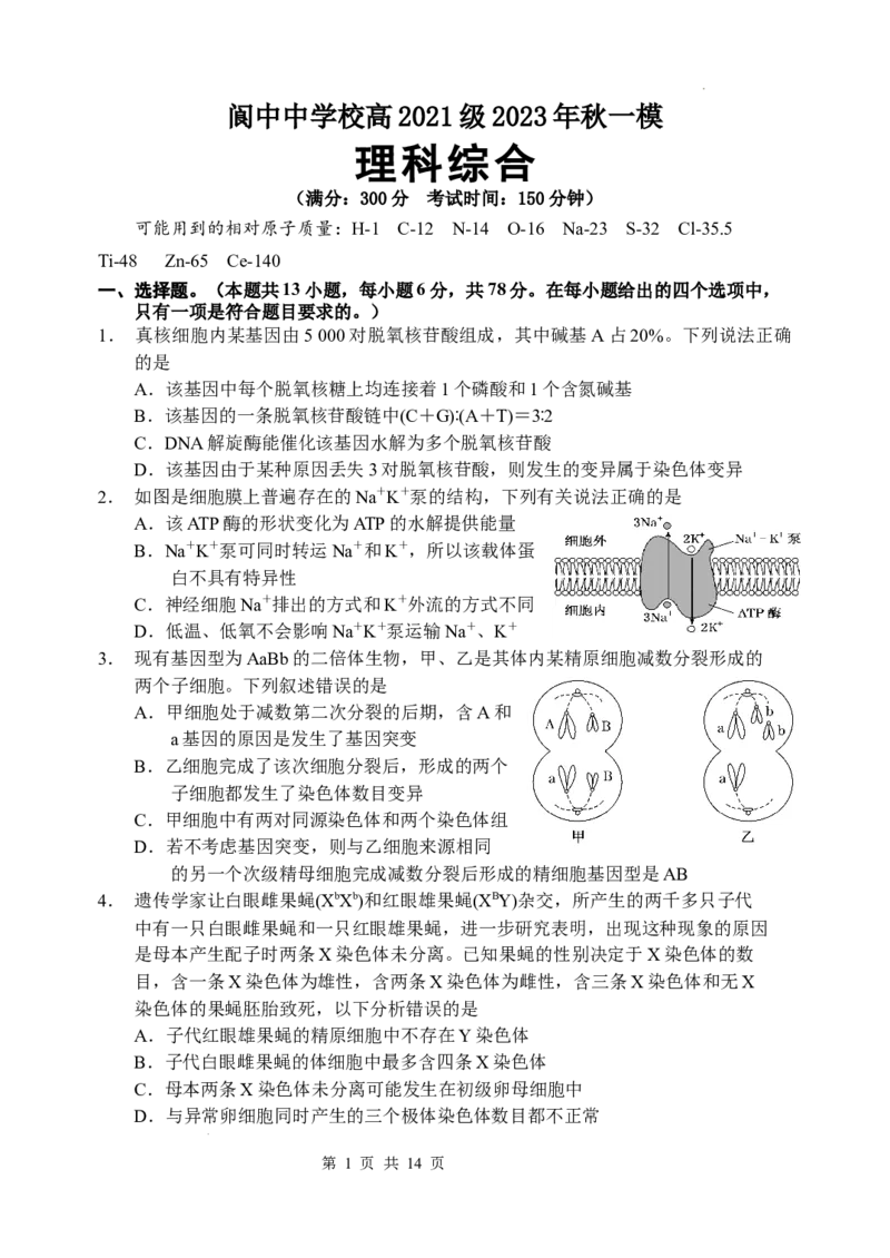 理综试题(1)_2023年11月_0211月合集_2024届四川省阆中中学校高三上学期一模_四川省阆中中学校2024届高三上学期一模理综