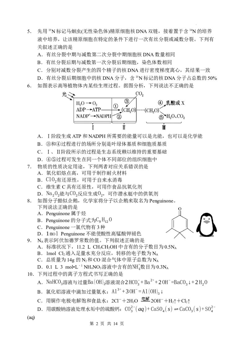 理综试题(1)_2023年11月_0211月合集_2024届四川省阆中中学校高三上学期一模_四川省阆中中学校2024届高三上学期一模理综