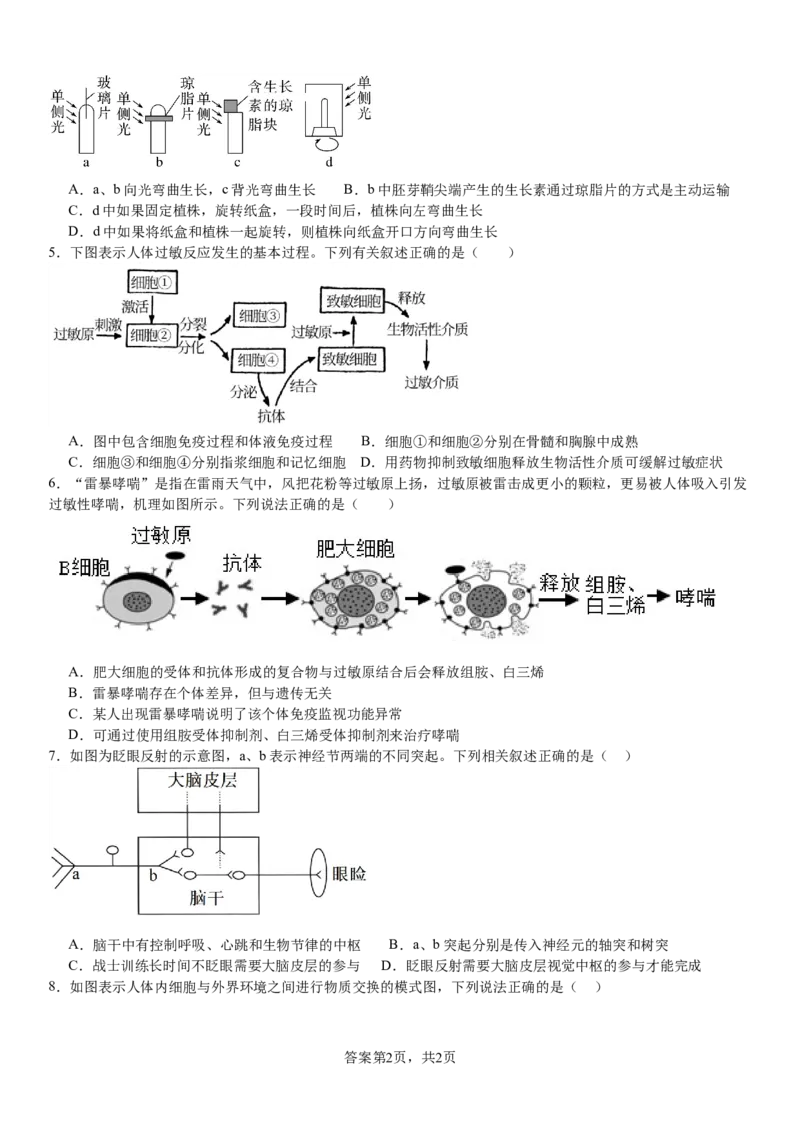 河南省南阳市第一中学校2024-2025学年高二上学期9月月考生物_2024-2025高二（7-7月题库）_2024年10月试卷_1010河南省南阳市第一中学校2024-2025学年高二上学期9月月考