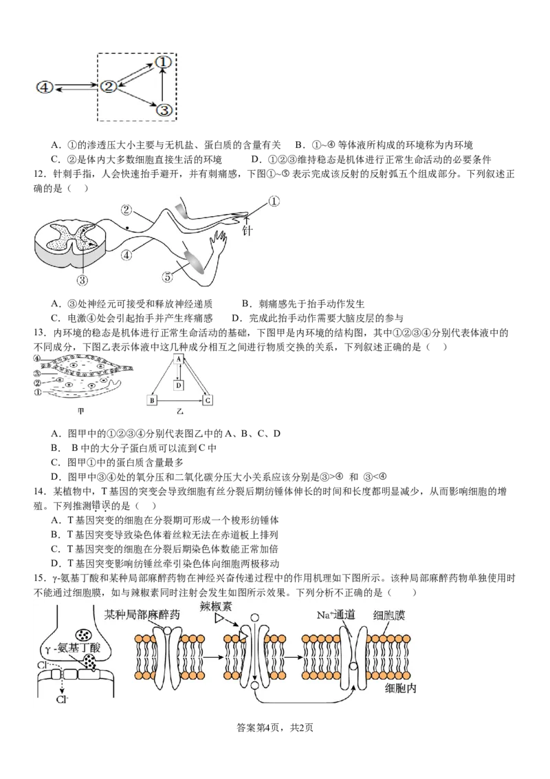 河南省南阳市第一中学校2024-2025学年高二上学期9月月考生物_2024-2025高二（7-7月题库）_2024年10月试卷_1010河南省南阳市第一中学校2024-2025学年高二上学期9月月考
