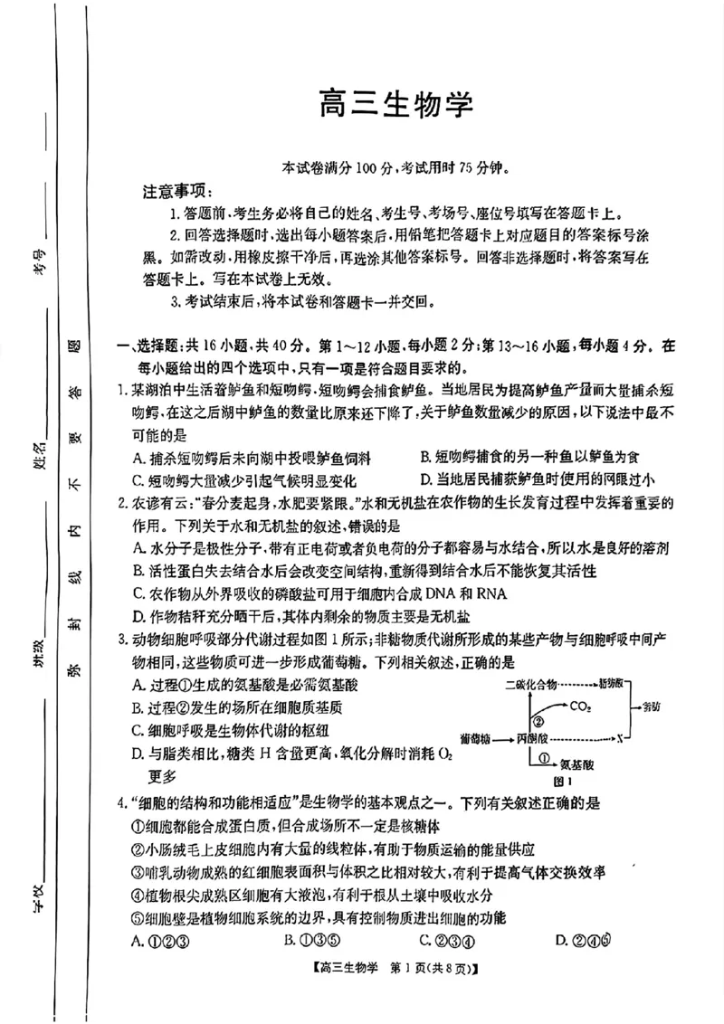 广东省2025届高三8月联考(25-02C)生物试卷_2024-2025高三（6-6月题库）_2024年08月试卷_08282025届广东金太阳高三8月大联考（25-02C）_2025届广东高三8月大联考（25-02C）生物试题+答案