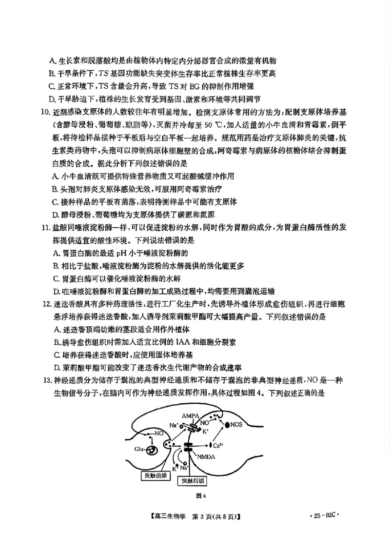 广东省2025届高三8月联考(25-02C)生物试卷_2024-2025高三（6-6月题库）_2024年08月试卷_08282025届广东金太阳高三8月大联考（25-02C）_2025届广东高三8月大联考（25-02C）生物试题+答案
