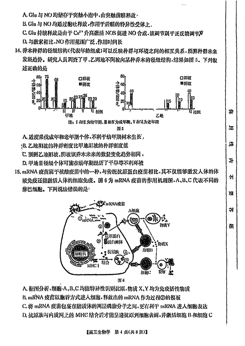 广东省2025届高三8月联考(25-02C)生物试卷_2024-2025高三（6-6月题库）_2024年08月试卷_08282025届广东金太阳高三8月大联考（25-02C）_2025届广东高三8月大联考（25-02C）生物试题+答案