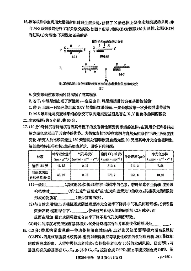 广东省2025届高三8月联考(25-02C)生物试卷_2024-2025高三（6-6月题库）_2024年08月试卷_08282025届广东金太阳高三8月大联考（25-02C）_2025届广东高三8月大联考（25-02C）生物试题+答案
