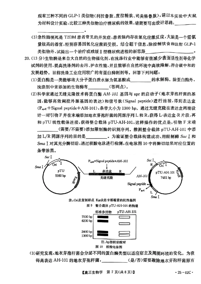 广东省2025届高三8月联考(25-02C)生物试卷_2024-2025高三（6-6月题库）_2024年08月试卷_08282025届广东金太阳高三8月大联考（25-02C）_2025届广东高三8月大联考（25-02C）生物试题+答案