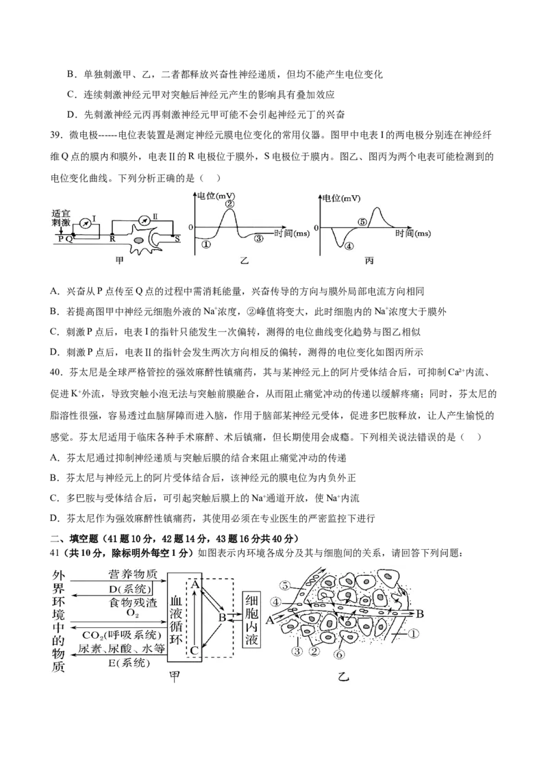 四川省成都市成华区某校2025-2026学年高二上学期阶段性考试（一）生物试卷（含答案）_2025年10月高二试卷_251028四川省成都市成华区某校2025-2026学年高二上学期阶段性考试（一）