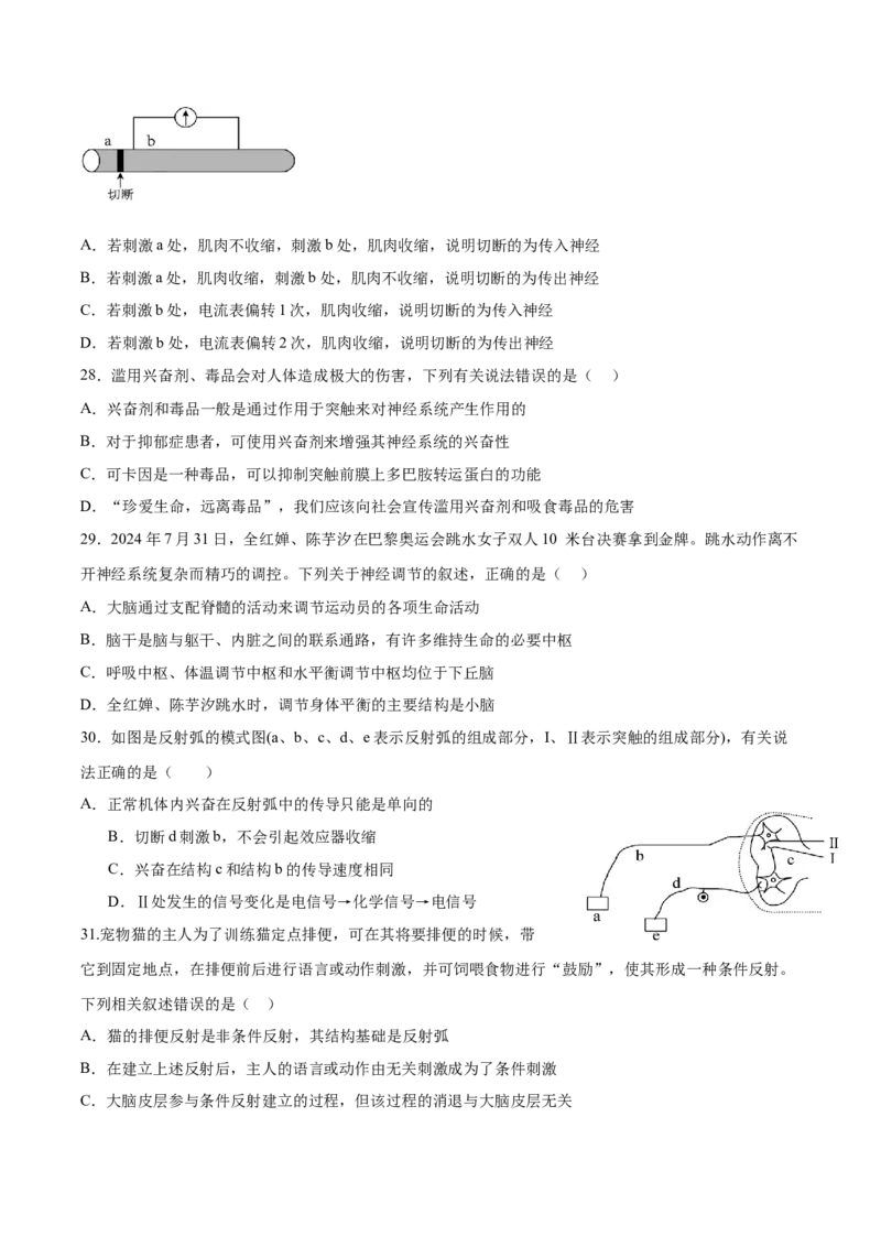 四川省成都市成华区某校2025-2026学年高二上学期阶段性考试（一）生物试卷（含答案）_2025年10月高二试卷_251028四川省成都市成华区某校2025-2026学年高二上学期阶段性考试（一）