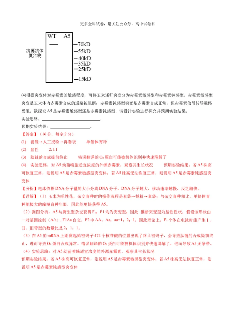 生物（九省联考考后提升卷，江西卷）（解析版）_2024年4月_其他_2024年1月新&ldquo;九省联考&rdquo;考后提升卷（原卷+解析）_2024年1月&ldquo;九省联考&rdquo;生物真题完全解读与考后提升