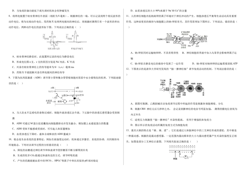 吉林省长春外国语学校2025-2026学年高二上学期期中考试生物Word版含答案_251201吉林省长春外国语学校2025-2026学年高二上学期期中考试（全）