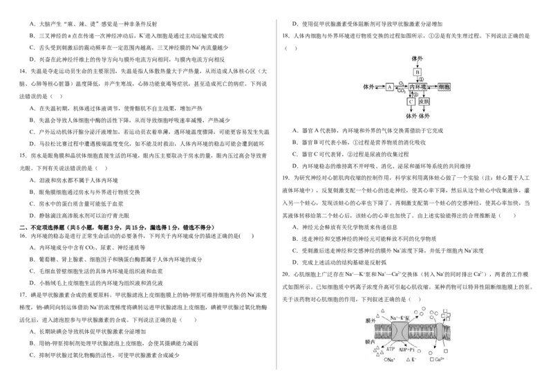 吉林省长春外国语学校2025-2026学年高二上学期期中考试生物Word版含答案_251201吉林省长春外国语学校2025-2026学年高二上学期期中考试（全）