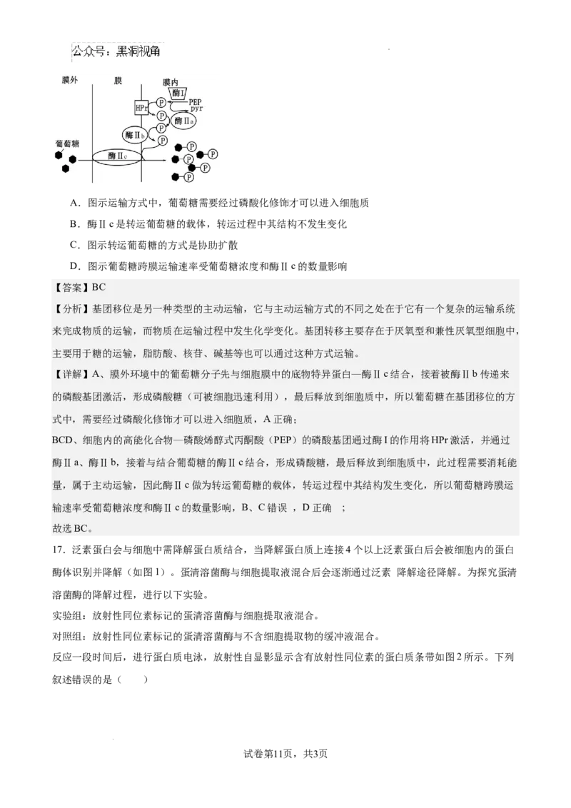 南京市协同体七校2024-2025学年第一学期期中联合考试-解析版_2024-2025高三（6-6月题库）_2024年12月试卷_1202江苏省南京市协同体七校2025届高三期中联合考试（全科）