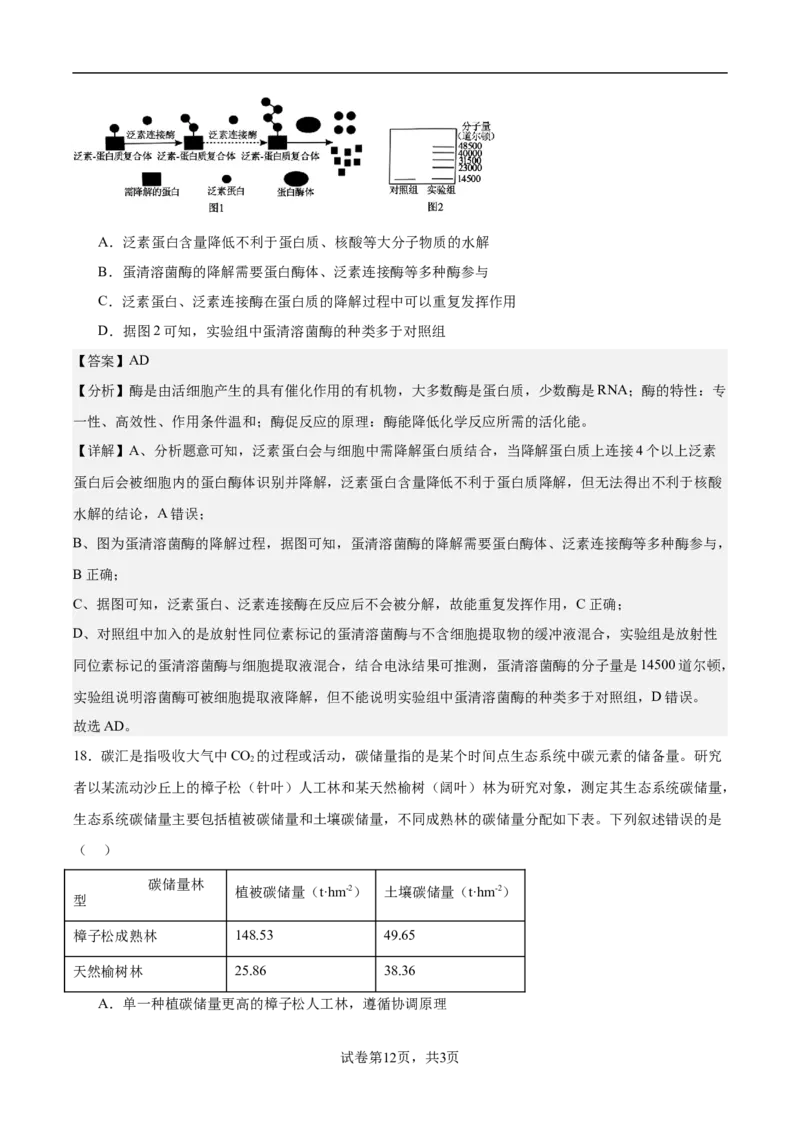 南京市协同体七校2024-2025学年第一学期期中联合考试-解析版_2024-2025高三（6-6月题库）_2024年12月试卷_1202江苏省南京市协同体七校2025届高三期中联合考试（全科）
