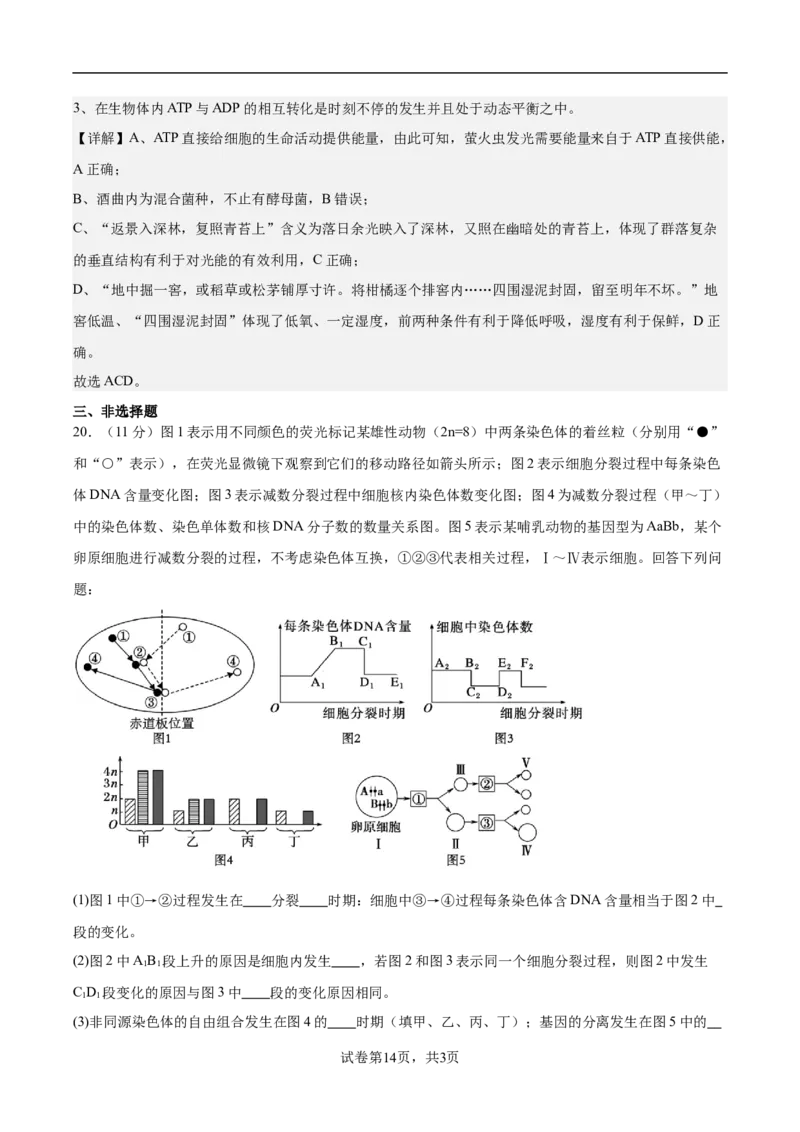 南京市协同体七校2024-2025学年第一学期期中联合考试-解析版_2024-2025高三（6-6月题库）_2024年12月试卷_1202江苏省南京市协同体七校2025届高三期中联合考试（全科）