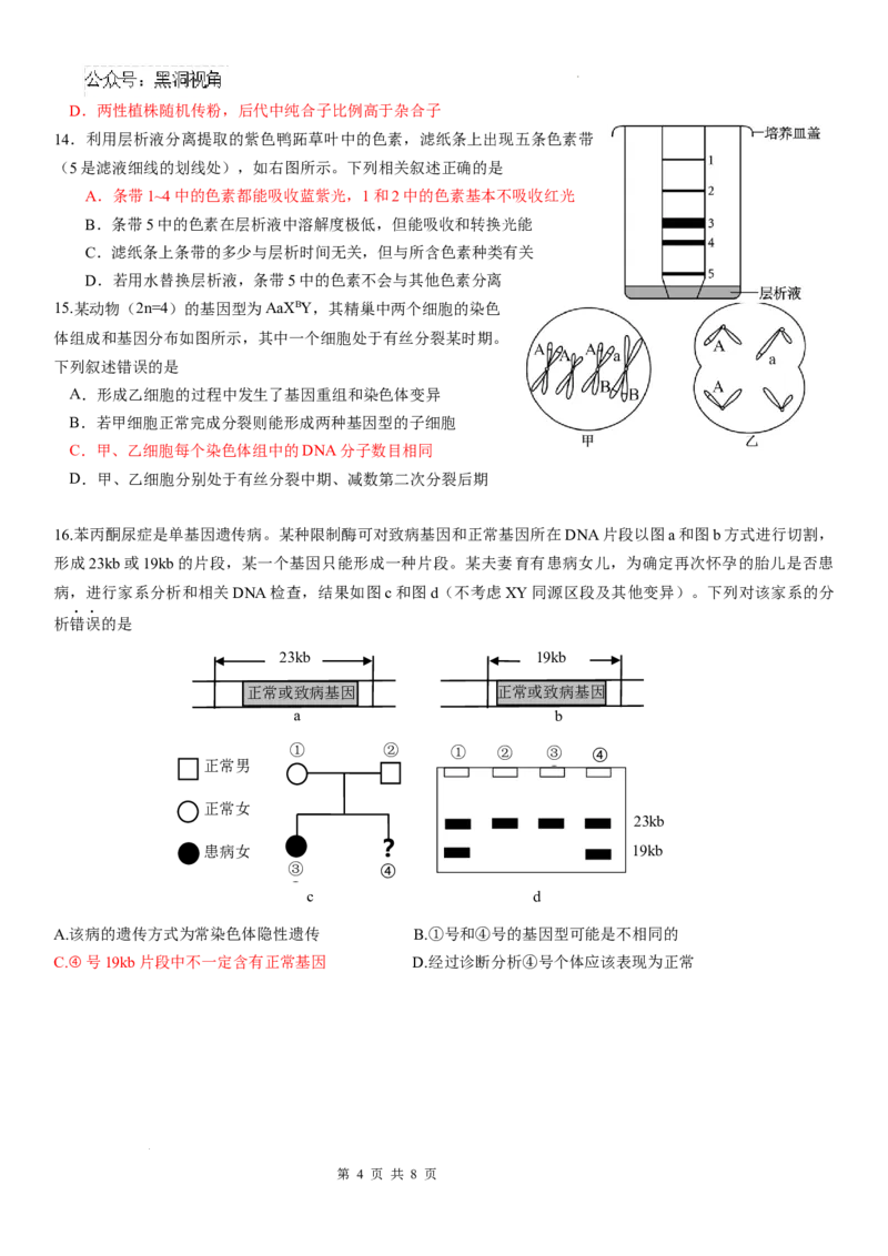 广东省华南师范大学附属中学2024-2024学年高三上学期综合测试（一）生物试题_2024-2025高三（6-6月题库）_2024年09月试卷