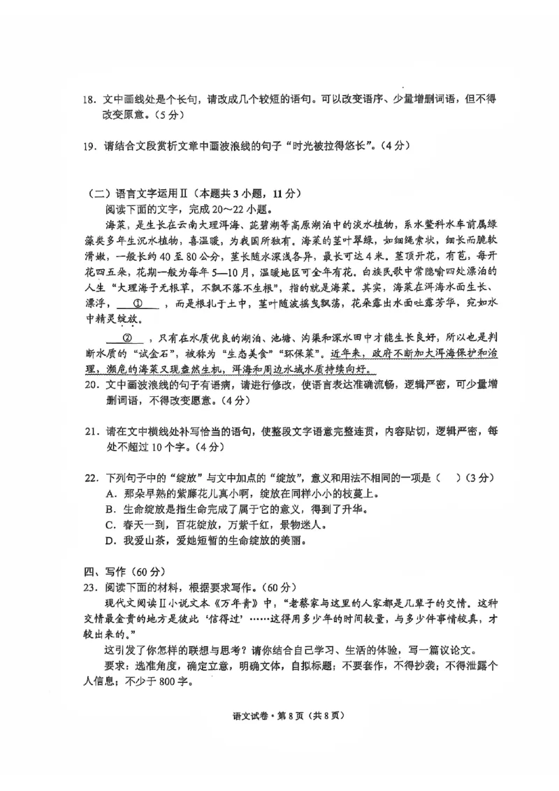 云南省大理白族自治州高三上学期第一次复习统一检测语文_2024-2025高三（6-6月题库）_2024年11月试卷_1111云南省大理白族自治州高三上学期第一次复习统一检测