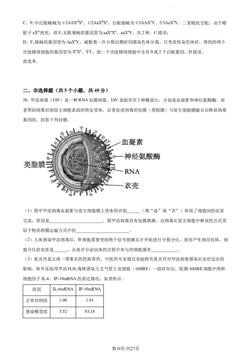 精品解析：河南省项城市一中2023-2024学年高三11月期中生物试题（解析版）(1)_2023年11月_0211月合集_2024届河南省周口市项城市第一高级中学高三上学期11月期中试题