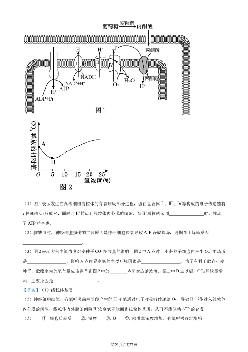 精品解析：河南省项城市一中2023-2024学年高三11月期中生物试题（解析版）(1)_2023年11月_0211月合集_2024届河南省周口市项城市第一高级中学高三上学期11月期中试题
