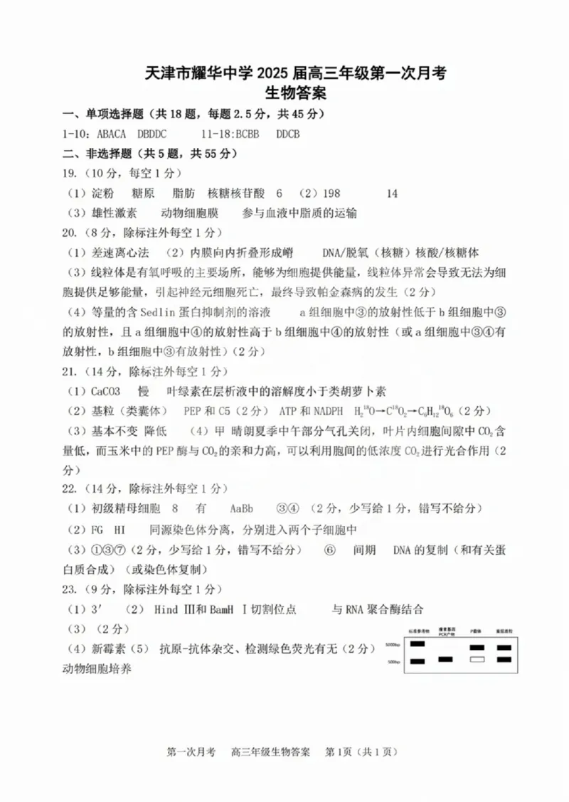 天津耀华中学2025届高三上期第一次月考生物试题答案_2024-2025高三（6-6月题库）_2024年10月试卷_1019天津耀华中学2025届高三上期第一次月考