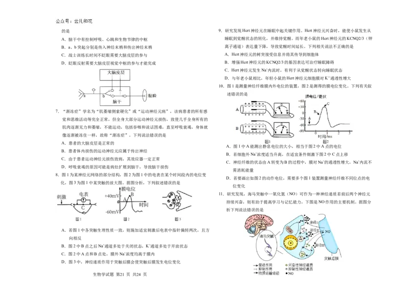 吉林省长春市朝阳区长春外国语学校2024-2025学年高二上学期9月第一次月考生物试题_2024年10月试卷_1004吉林省长春外国语学校2024-2025学年高二上学期9月月考