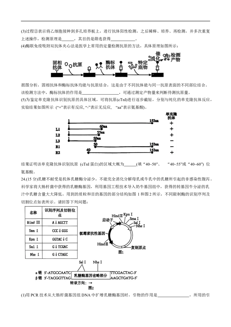 天津市五区县重点校联考2024-2025学年高二下学期4月期中生物试卷_2024-2025高二（7-7月题库）_2025年05月试卷_0526天津市五区县重点校联考2024-2025学年高二下学期4月期中考试