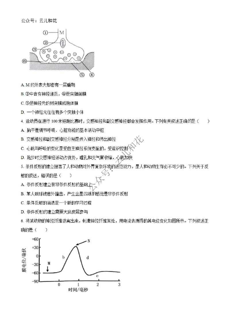 广西合浦县2024-2025学年高二上学期期中检测生物试题Word版无答案_2024-2025高二（7-7月题库）_2024年12月试卷_1227广西北海市合浦县2024-2025学年高二上学期期中检测