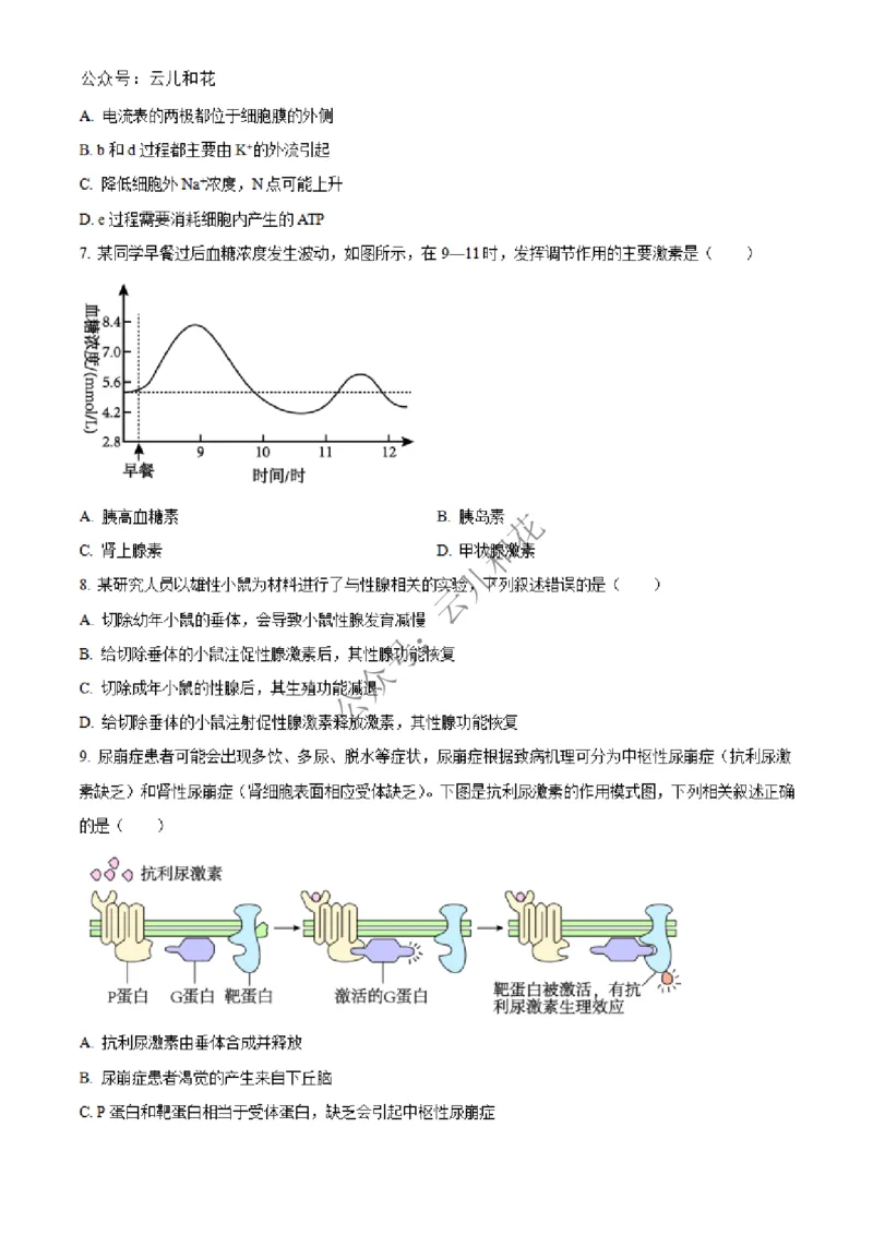 广西合浦县2024-2025学年高二上学期期中检测生物试题Word版无答案_2024-2025高二（7-7月题库）_2024年12月试卷_1227广西北海市合浦县2024-2025学年高二上学期期中检测