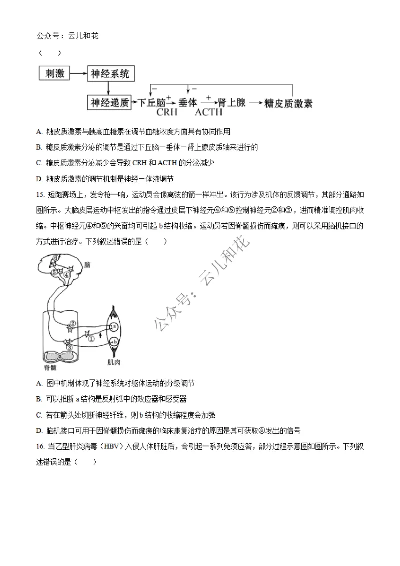 广西合浦县2024-2025学年高二上学期期中检测生物试题Word版无答案_2024-2025高二（7-7月题库）_2024年12月试卷_1227广西北海市合浦县2024-2025学年高二上学期期中检测